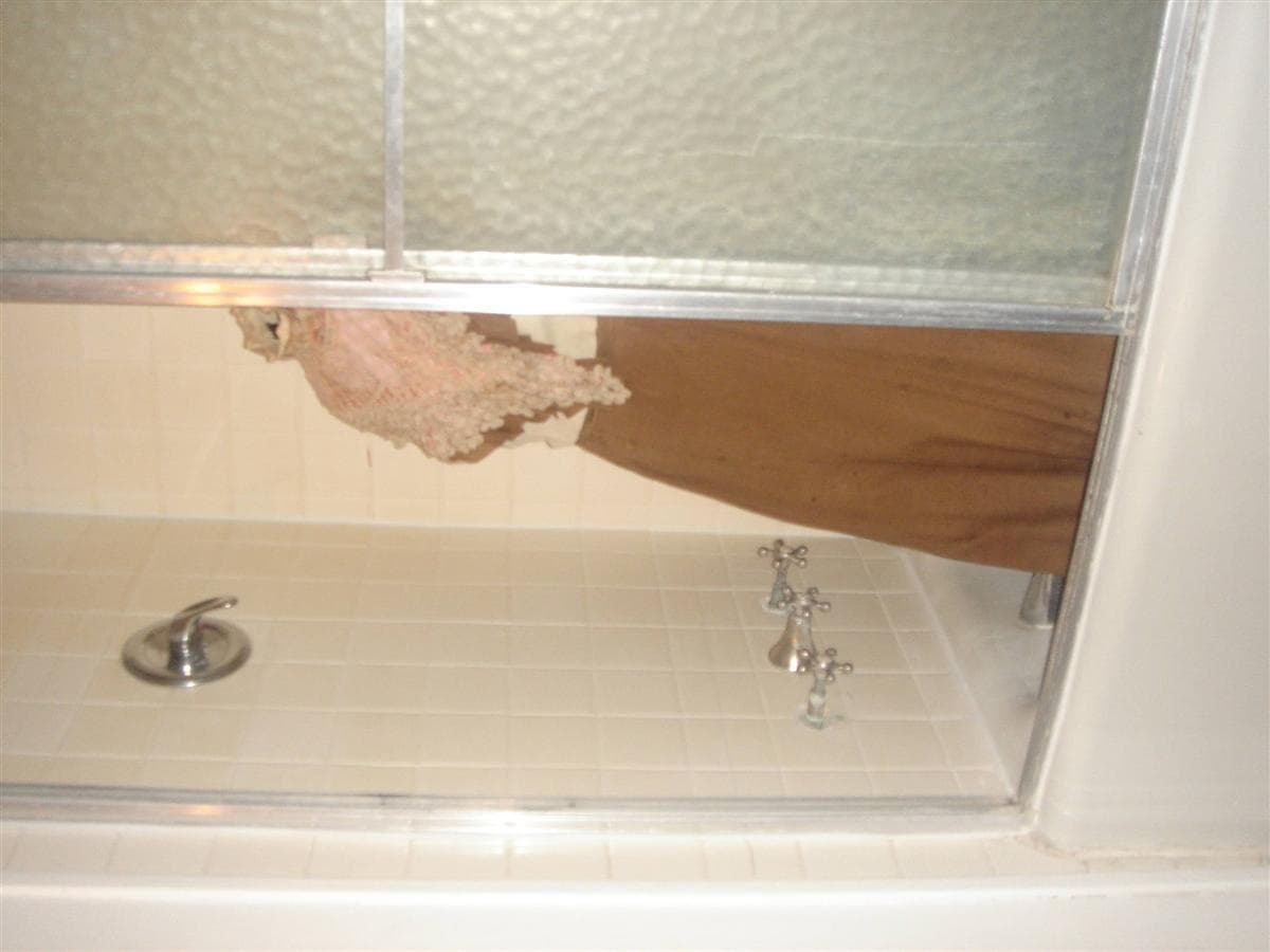 Williams Family Reunion 2006 23